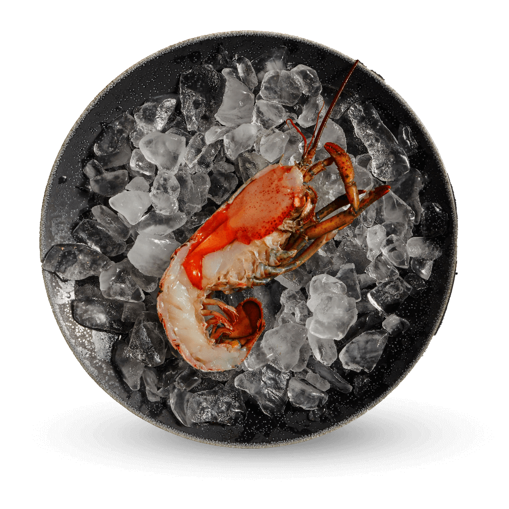 Photo of a Lobster in a bowl of ice