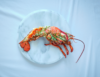 Lobster Thermidor on marble plate