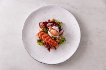 lobster tail and claw on duck egg salad on white plate